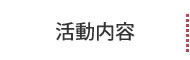 活動内容